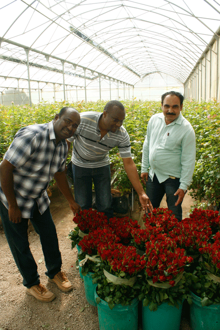 Employee’s welfare at the heart of the blossoming Shalimar flowers