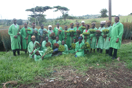 Fina Flora, impacting lives through hypericum farming