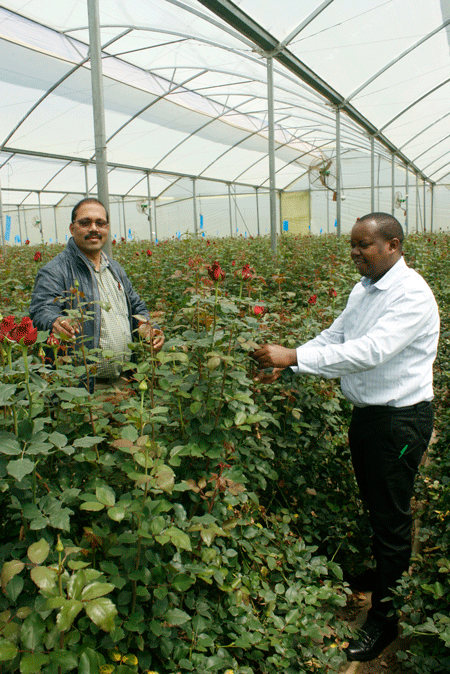 PJ Dave Flora, leading in production of high quality Rhodos