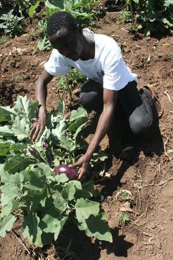 More young people seizing opportunities in Agribusiness