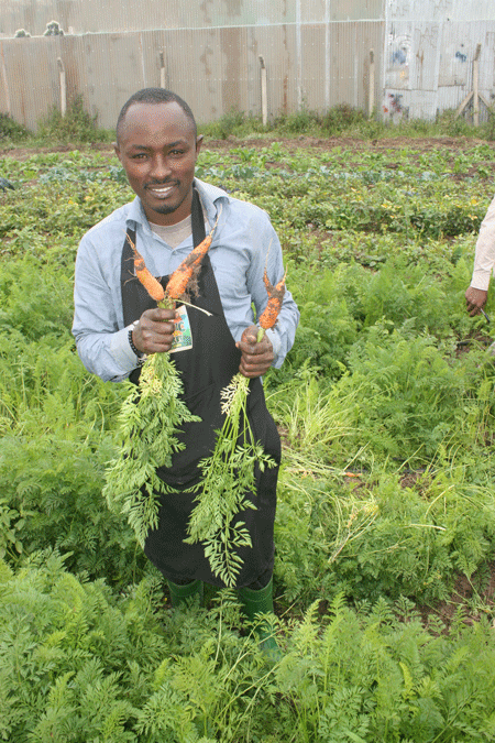 Organic farming at Nyumbani Karen Organic farm