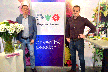 Royal Van Zanten Towards data & market driven flower breeding