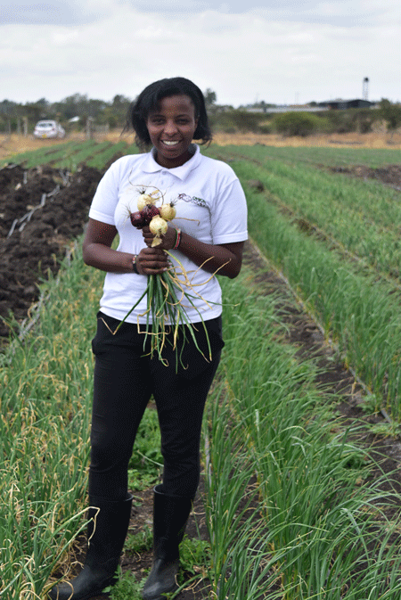 Onion Doctor; leveraging on onion value chain from seed to harvest