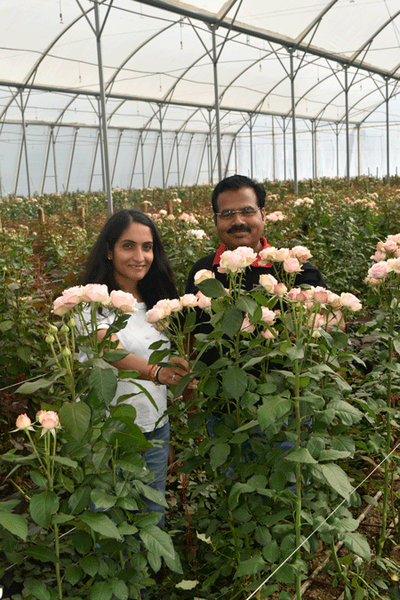 Successful succession in flower business, the Red Lands Roses Style