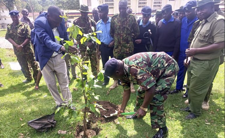 West Pokot County Plants Trees to Fight Malnutrition and Climate Change