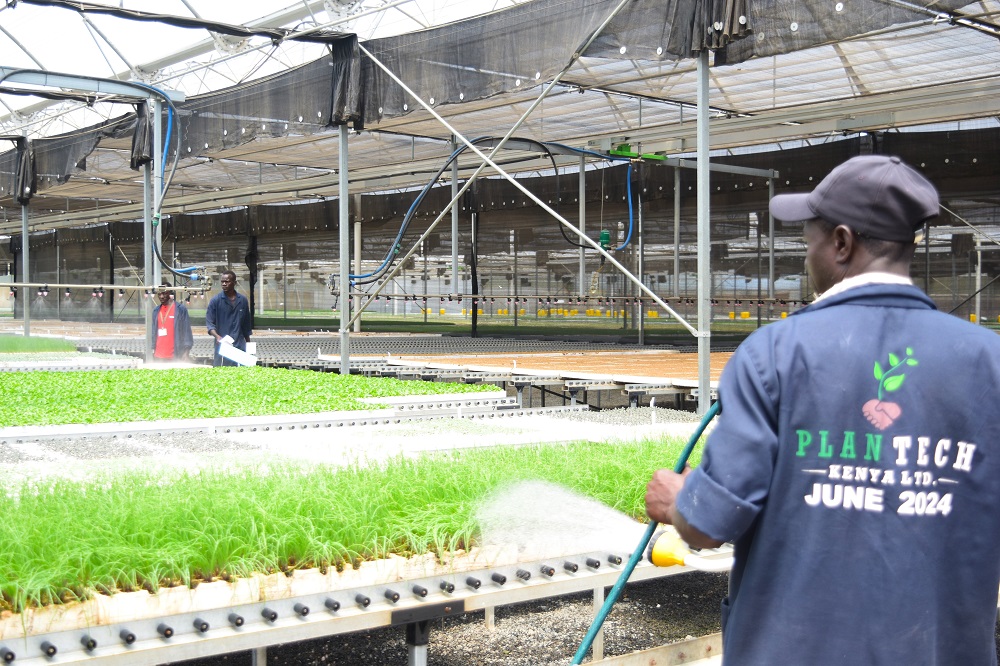 Plantech Kenya, Benefiting Thousands of Farmers with Quality Seedlings