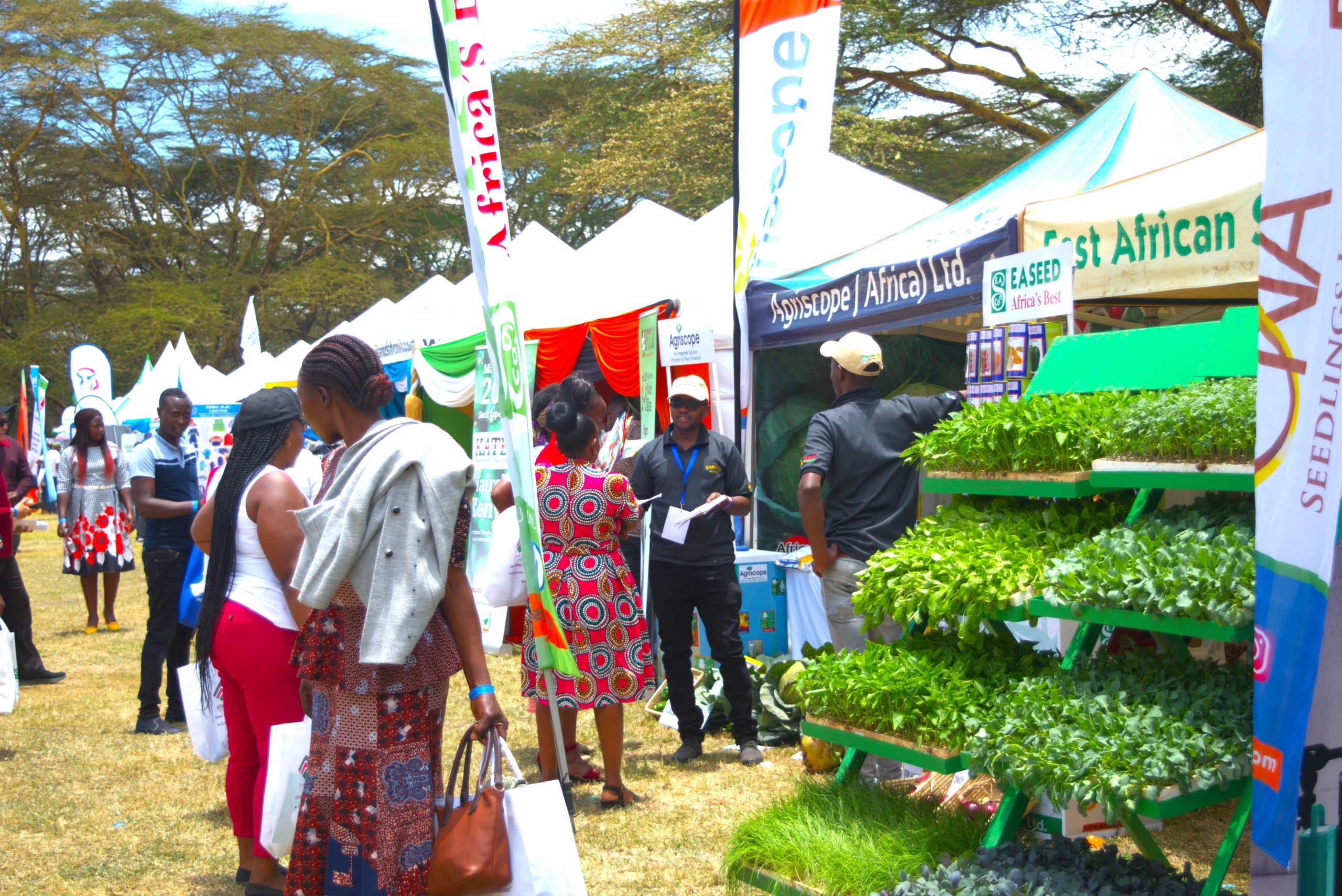 Naivasha Horticultural Fair 2024 Showcasing Kenya's Role in Global