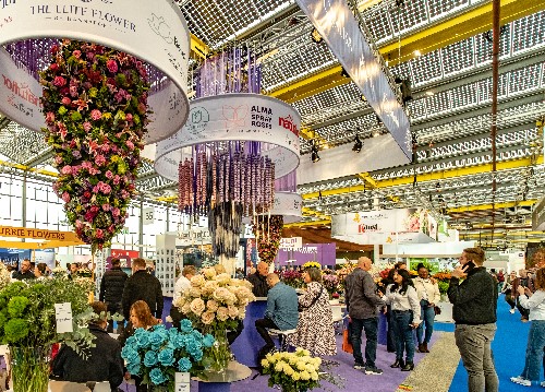 Blooming Trends: How IFTF 2024 is Shaping the Future of Floriculture