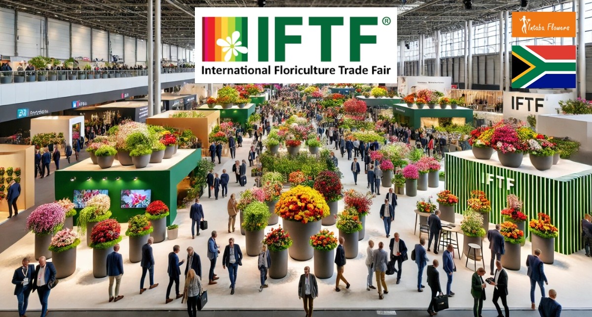 IFTF 2024: Global Floriculture Trade Fair Concludes Amid Optimism and Industry Challenges